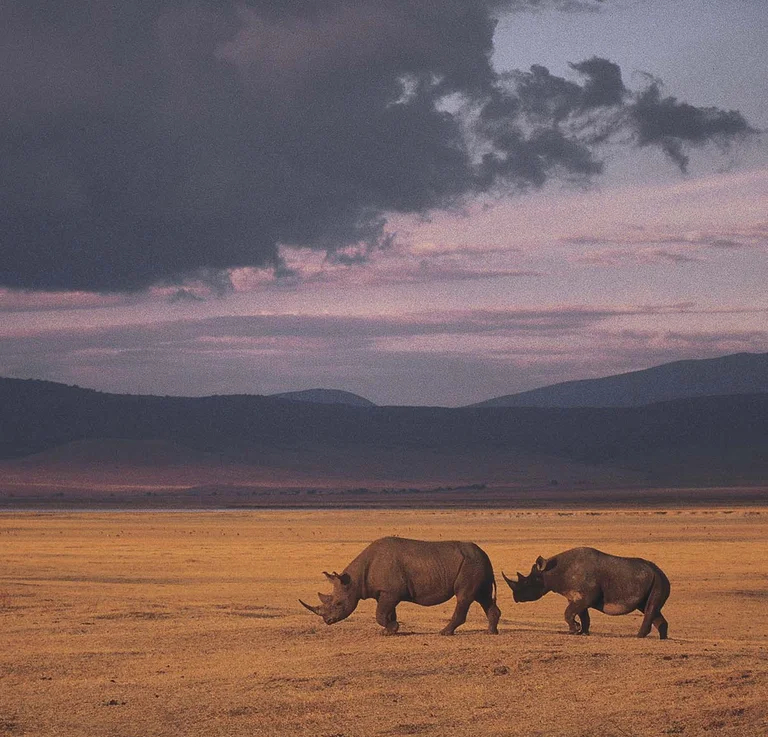 Suzuki *Serious about Wildlife*