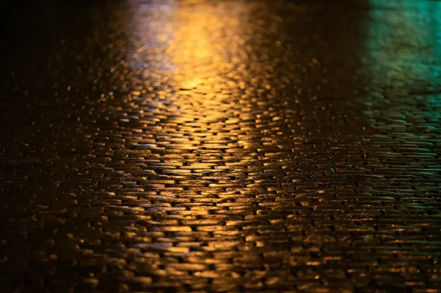 alexandr-popadin-Y8BA0dZ2yj0-unsplash