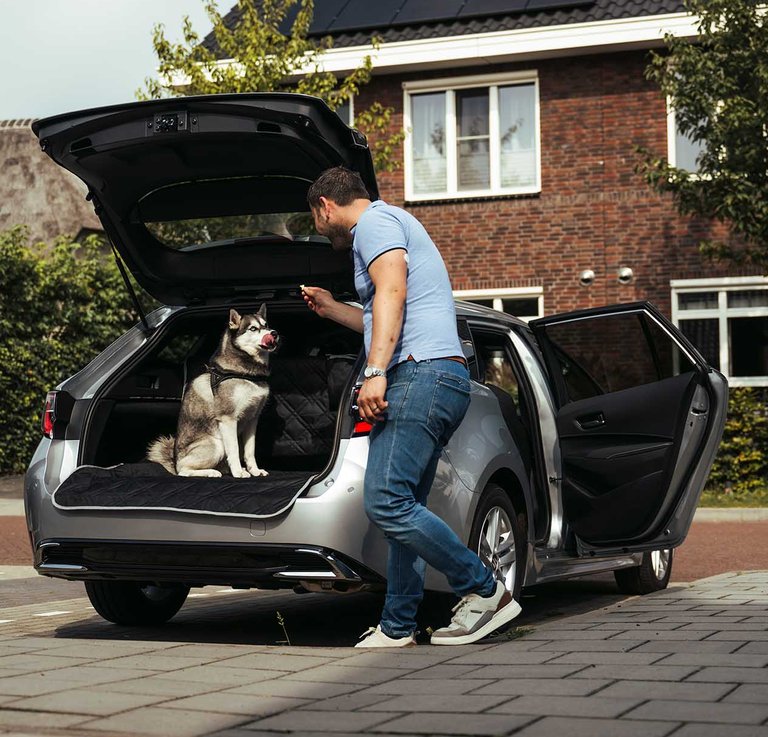 Met je *hond* in de auto veilig de weg op