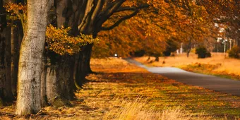 De mooiste motorroutes van Nederland
