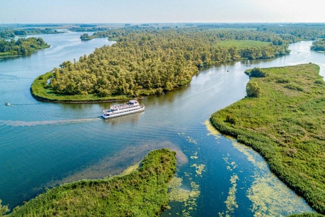 Biesbosch