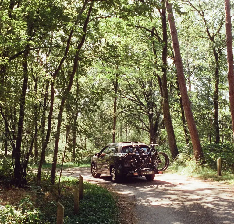 De *mooiste autoroutes* van Nederland