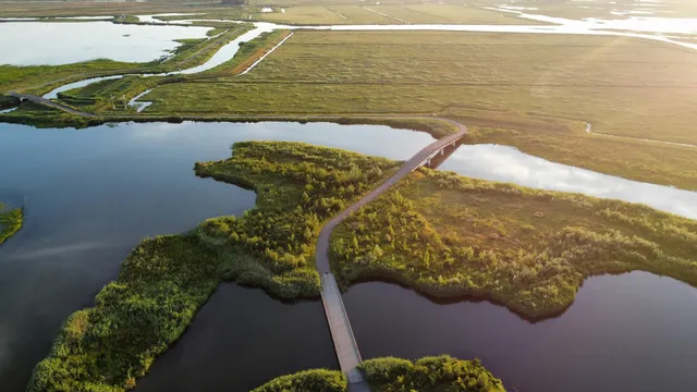 stan-versluis-43dJYPTxppQ-unsplash