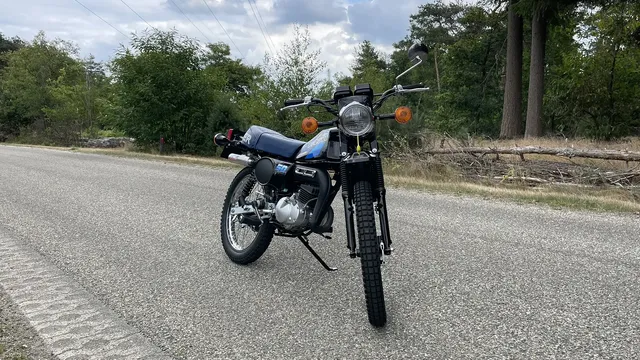 Suzuki_Stories_Ardy