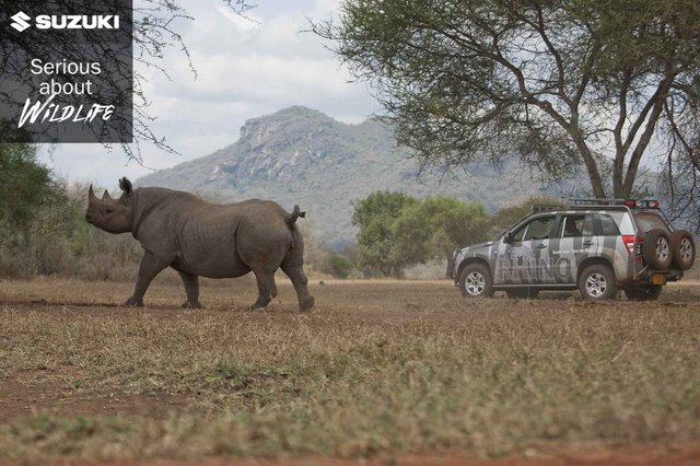 Suzuki_Serious_About_Wildlife_Rhino_car_logo