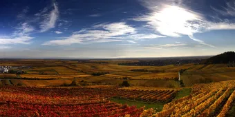 De leukste reisbestemmingen per auto