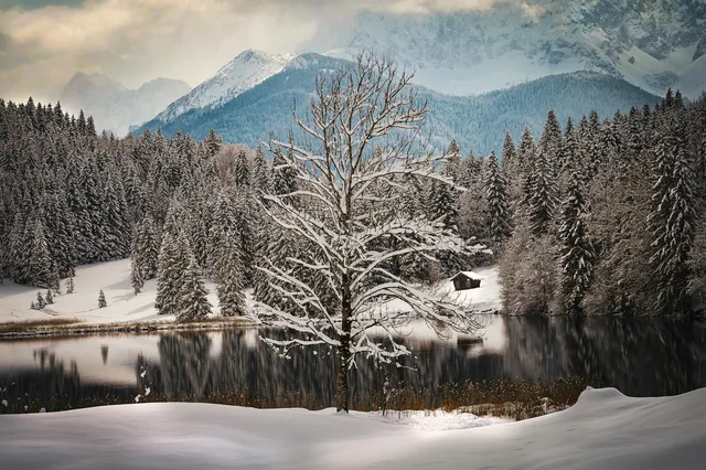 pexels-landsmann-803094805-19279657