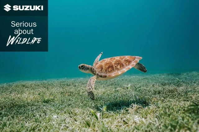 Suzuki_Serious_about_Wildlife_clean_ocean_turtle_logo