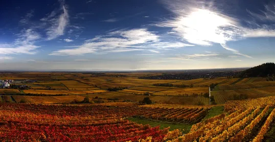 De leukste reisbestemmingen per auto