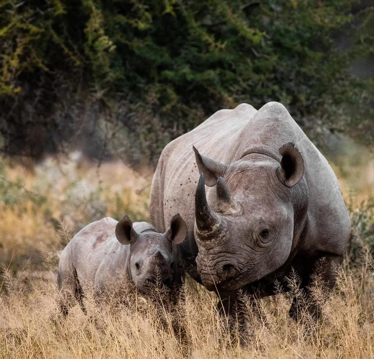 Donateurs *winactie*