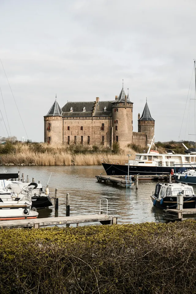 finn-ijspeert-PhWf04zbGtM-unsplash