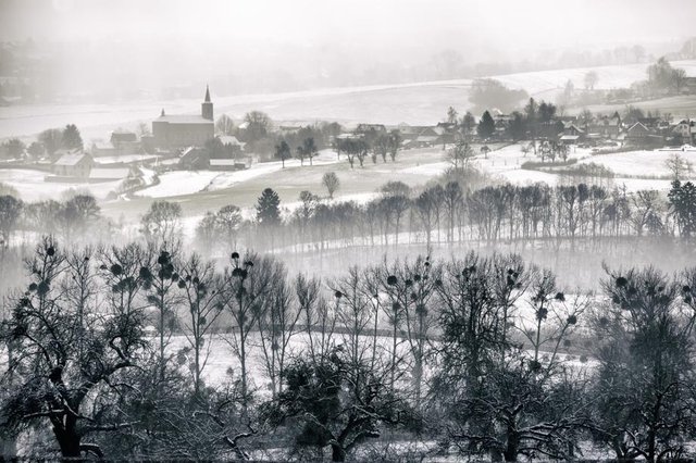 Limburg