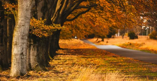 De mooiste motorroutes van Nederland