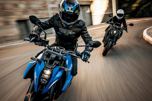 GSX800RQM6_action_1