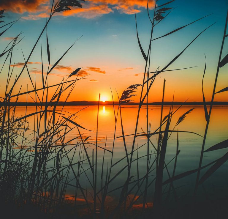 De mooiste waterplassen van Nederland