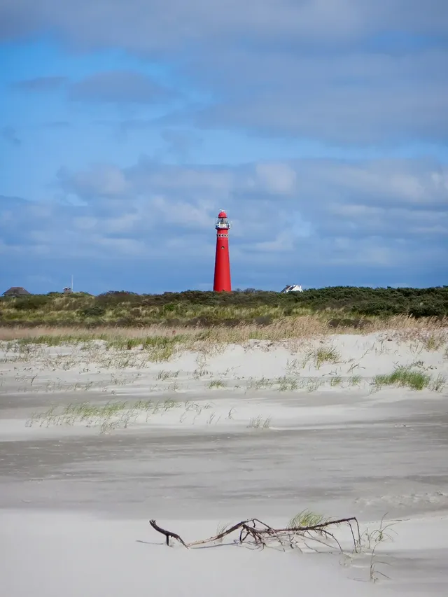 erwin-bongaerts-C1zVM-Swy44-unsplash